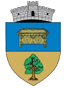Primaria HĂŞMAŞ